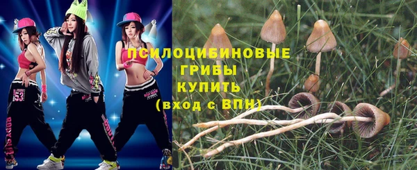 мдпв Пестово