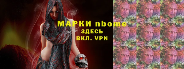 мдпв Пестово