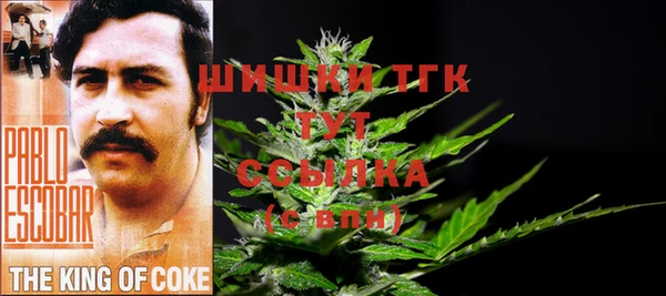меф Осташков