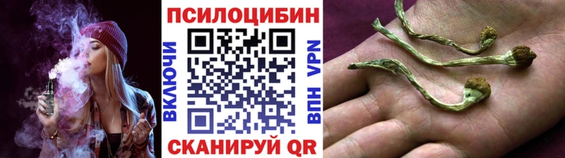 Галлюциногенные грибы Magic Shrooms где можно купить Арск